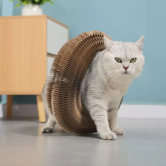şekillenebilir kedi oyuncağı