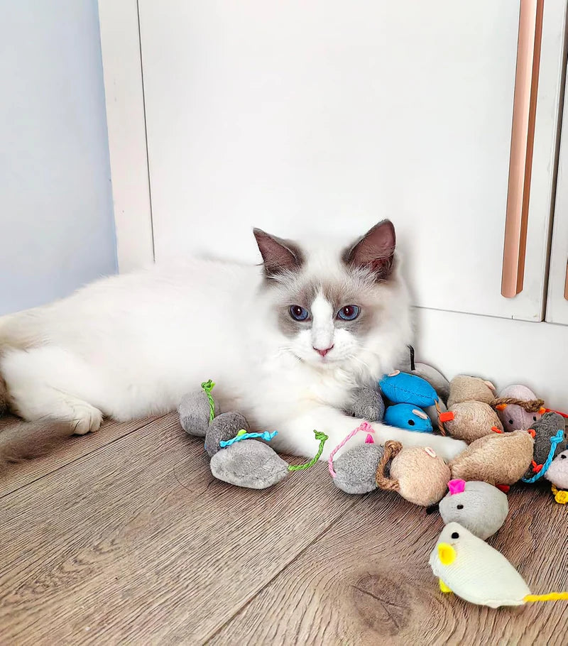 kedi fare oyuncağı